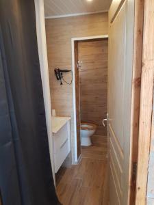 uma pequena casa de banho com WC e lavatório em L Appicciu em Ventiseri