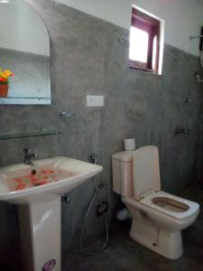 a bathroom with a sink and a toilet and a mirror at Silance Garden in Tangalle