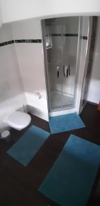 a bathroom with blue mats on the floor and a shower at Ferienwohnung am Schloss in Königstein in Kürmreuth +7 photos
