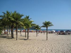 a group of palm trees on a sandy beach at Rosana in Praia Grande