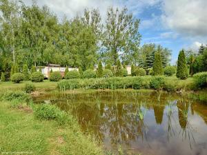a pond with trees and a house in the background at Brzozowe Zacisze in Łagów