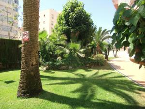 Vonkajšia záhrada v ubytovaní Apartamento con piscina a 150 metros playa Netflix P Video Aire Acondicionado calefacción toallas y sillas playa sombrilla 2 terrazas una sobre piscina centro ciudad 1 Smart TV por habitación