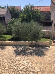 Vonkajšia záhrada v ubytovaní Apartman Slavice