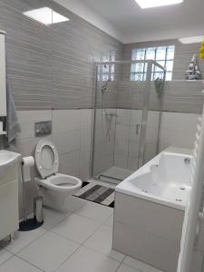 een badkamer met een toilet, een douche en een wastafel bij Alma Vendégház in Veszprém