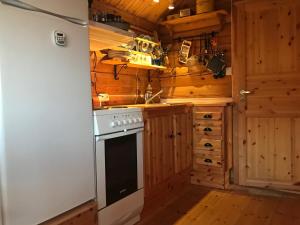 BøstadにあるMidnight Sun Lodge Lofotenのキッチン(コンロ、冷蔵庫付)