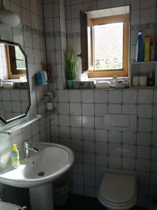 een badkamer met een wastafel, een toilet en een spiegel bij Landhaus Dora in Bodensdorf
