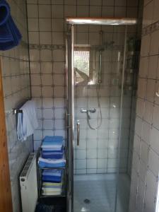 a bathroom with a shower and blue towels at Landhaus Dora in Bodensdorf