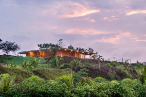 Příroda nedaleko vily