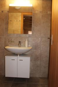 a bathroom with a sink and a mirror at Jentsch Haus in Niederwald