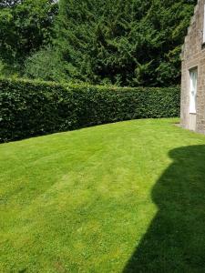 a shadow of a person standing on a lawn at Westwood Cottage in Dundee +39 photos