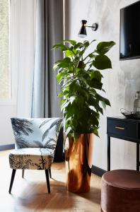 une plante en pot assise à côté d'une chaise dans une pièce dans l'établissement NAMAN HOTELLERIE - Margutta, à Rome