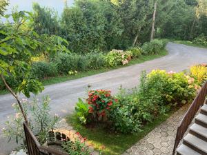 Zahrada ubytování Apartman MAURO