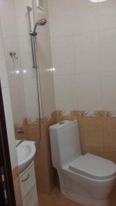 a bathroom with a toilet and a shower and a sink at Apartment Lake Tryavna in Tryavna +16 photos