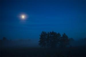 Ein Mond über einem Baum in einer nebligen Nacht in der Unterkunft Place for tent - Miejsce na namiot u stóp natury in Kuty