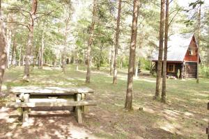 a picnic table and a log cabin in the woods at Kuuli Puhkemajad in Tagaranna