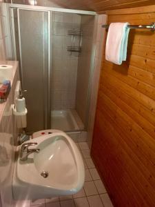 a bathroom with a toilet and a shower and a sink at Pension Karlsdorfer Hof in Seeboden