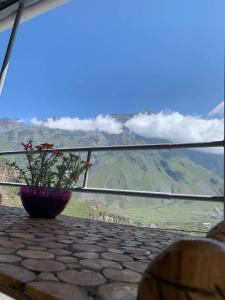 einer Topfpflanze auf einem Tisch in der Unterkunft Tamila Guest House in Kazbegi