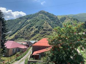 a mountain with a house and a tree with oranges on it at Tamila Guest House in Kazbegi