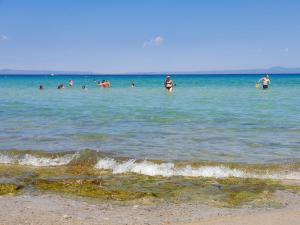 Táj Show holiday homes közelében