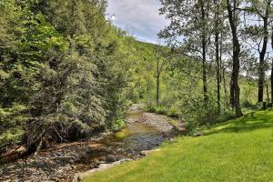 a river in the middle of a field with trees at Cedarbrook Standard Hotel Room 204 in Killington