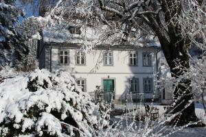 Ferienwohntraum Haller v zime