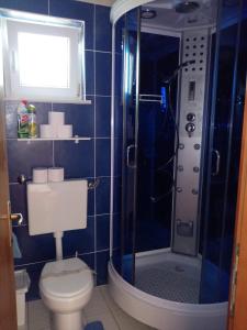 a blue tiled bathroom with a toilet and a shower at Apartment Pepi in Povljana