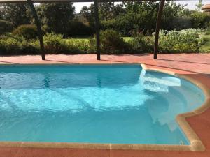 ein Swimmingpool mit blauem Wasser in einem Hof in der Unterkunft Apartamentos El Jardín del Poeta in Guijo de Granadilla