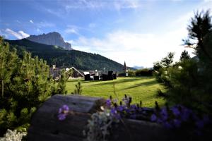 a garden with a mountain in the background with flowers at Garni Sunela B&B in Selva di Val Gardena