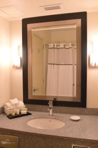 ein Bad mit einem Waschbecken und einem Spiegel in der Unterkunft UMass Lowell Inn and Conference Center in Lowell