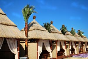 Gallery image of Kengur Resort in Belgrade