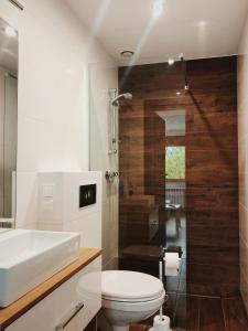 un bagno con lavandino, WC e doccia di Świerkowe Zacisze hotel a Firlej Altre 40 foto