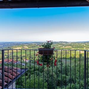 een balkon met een plant op een hek bij Le mongolfiere in Mondovì