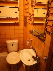 a small bathroom with a toilet and a sink at KAMBARIŲ nuoma Kaune - in Kaunas