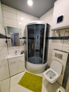 カルパチにあるKarkonoska 41のバスルーム(トイレ、洗面台付)