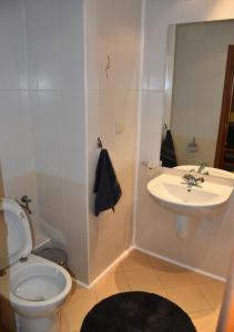 Koupelna v ubytování Studio Villa Park Premium + 20 fotografií