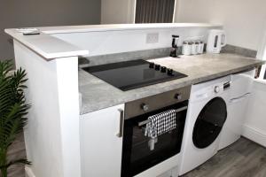 Kuchyň nebo kuchyňský kout v ubytování Reads Luxury Jacuzzi Apartments
