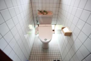 a bathroom with a toilet with a plant on it at Guest House Aman in Amami