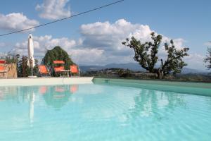 a large swimming pool with orange chairs and a tree at Agriturismo Poggio Della Rosa in Amelia