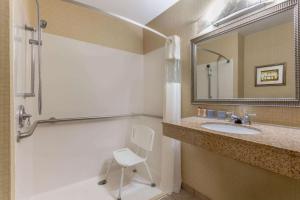 Wingate by Wyndham Macon I-75的一间浴室