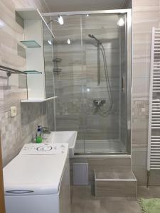 Ένα μπάνιο στο Harrachov Lux +43 φωτογραφίες