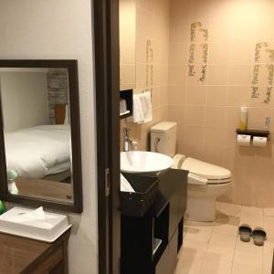 a bathroom with a sink and a toilet and a mirror at Sundance Resort Karuizawa in Karuizawa