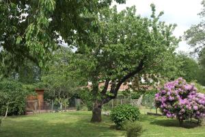 un árbol en un patio con flores rosas en B&B Viale dei Pini, en Rocca Priora