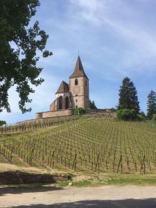 a church on top of a vineyard with a clock tower at Huna’gîte in Hunawihr