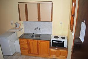 Kuchyň nebo kuchyňský kout v ubytování Hotel Olga