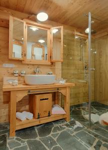 a bathroom with a sink and a shower at Almdorf Seinerzeit in Patergassen