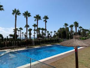 una piscina con un ombrellone di paglia e palme di Ático vistas lujo Magic World a Castellón de la Plana