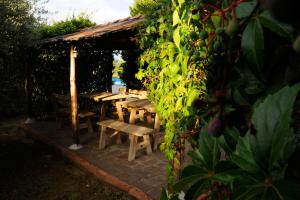 Vonkajšia záhrada v ubytovaní Poggio delle Rose Tuscany Relais