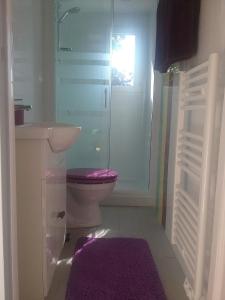 ein Bad mit einem WC, einem Waschbecken und einer Dusche in der Unterkunft Chevrefeuille et Eglantine in LʼÎle-dʼOlonne