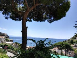 a tree in front of a view of the ocean at Casa Vacanze Bouganvillea in Cetara
