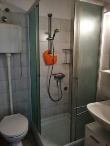 een badkamer met een douche, een toilet en een wastafel bij Aura 2 in Banjole